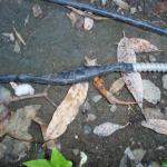 Here we have a MC cable (right) spliced to some individual conductors just laying on the ground. This is unsafe, could be a shock hazard, and is definately not to code. This should have been done in PVC conduit and buried 18" deep.