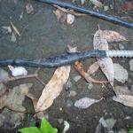 Here we have a MC cable (right) spliced to some individual conductors just laying on the ground. This is unsafe, could be a shock hazard, and is definately not to code. This should have been done in PVC conduit and buried 18" deep.